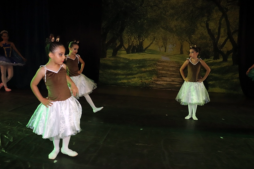 Apresentação do Ballet