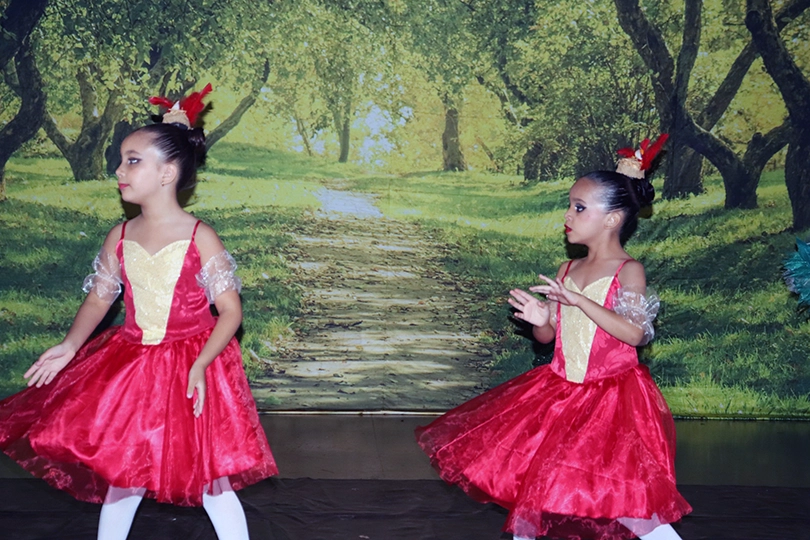Apresentação do Ballet