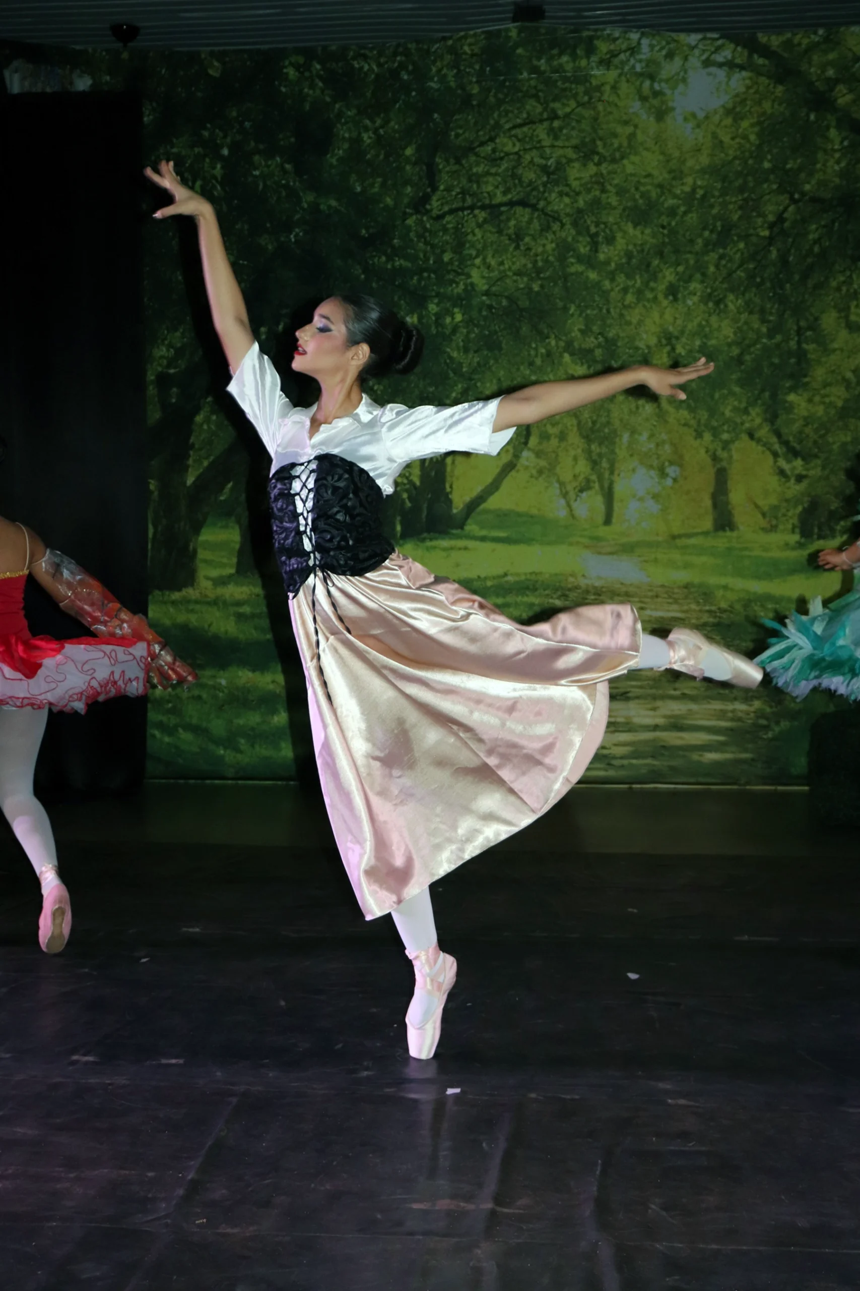 ballet-a-bela-adormecida