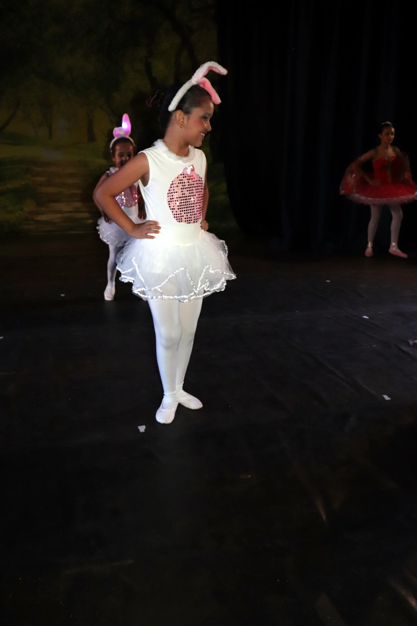 ballet-a-bela-adormecida