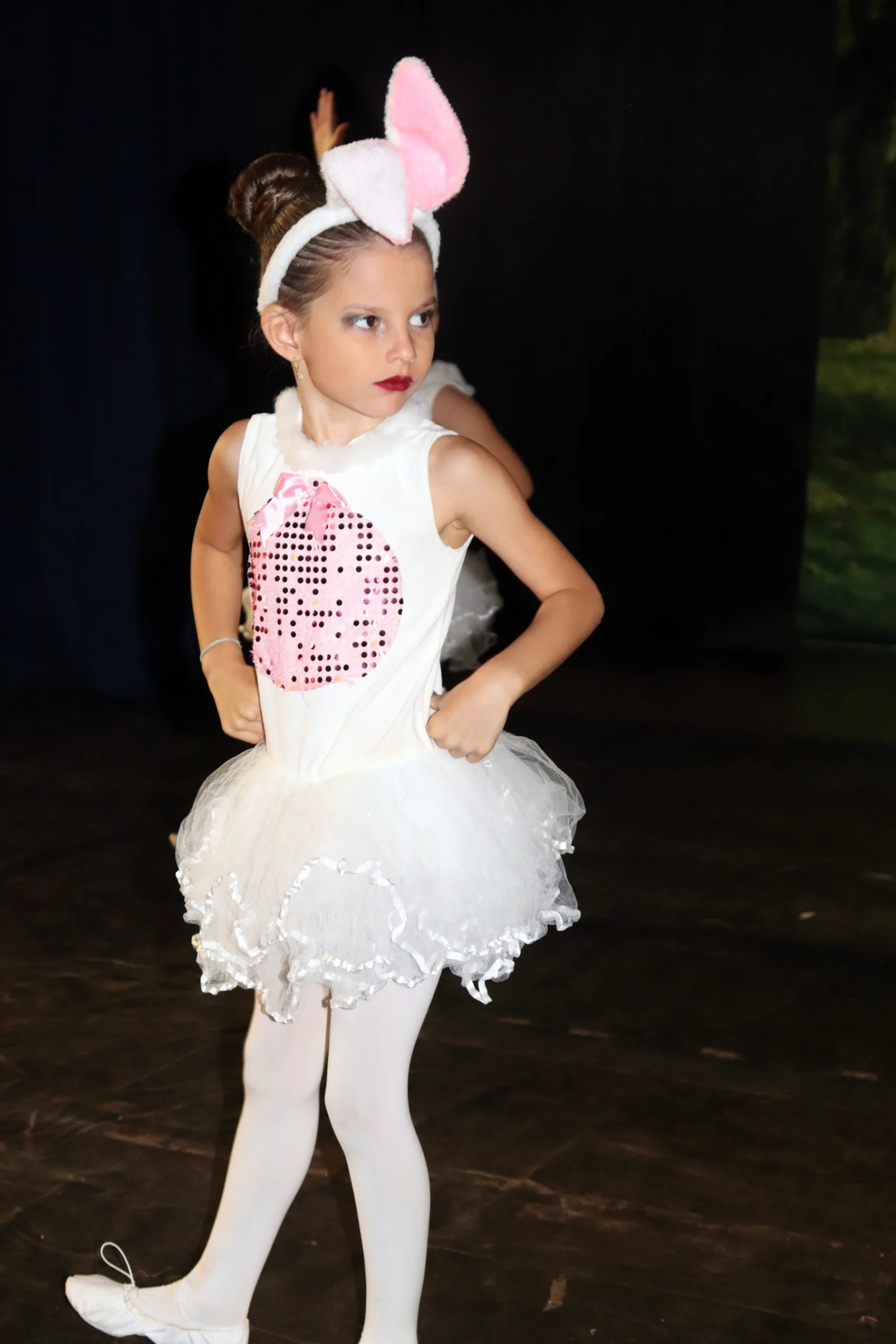 ballet-a-bela-adormecida