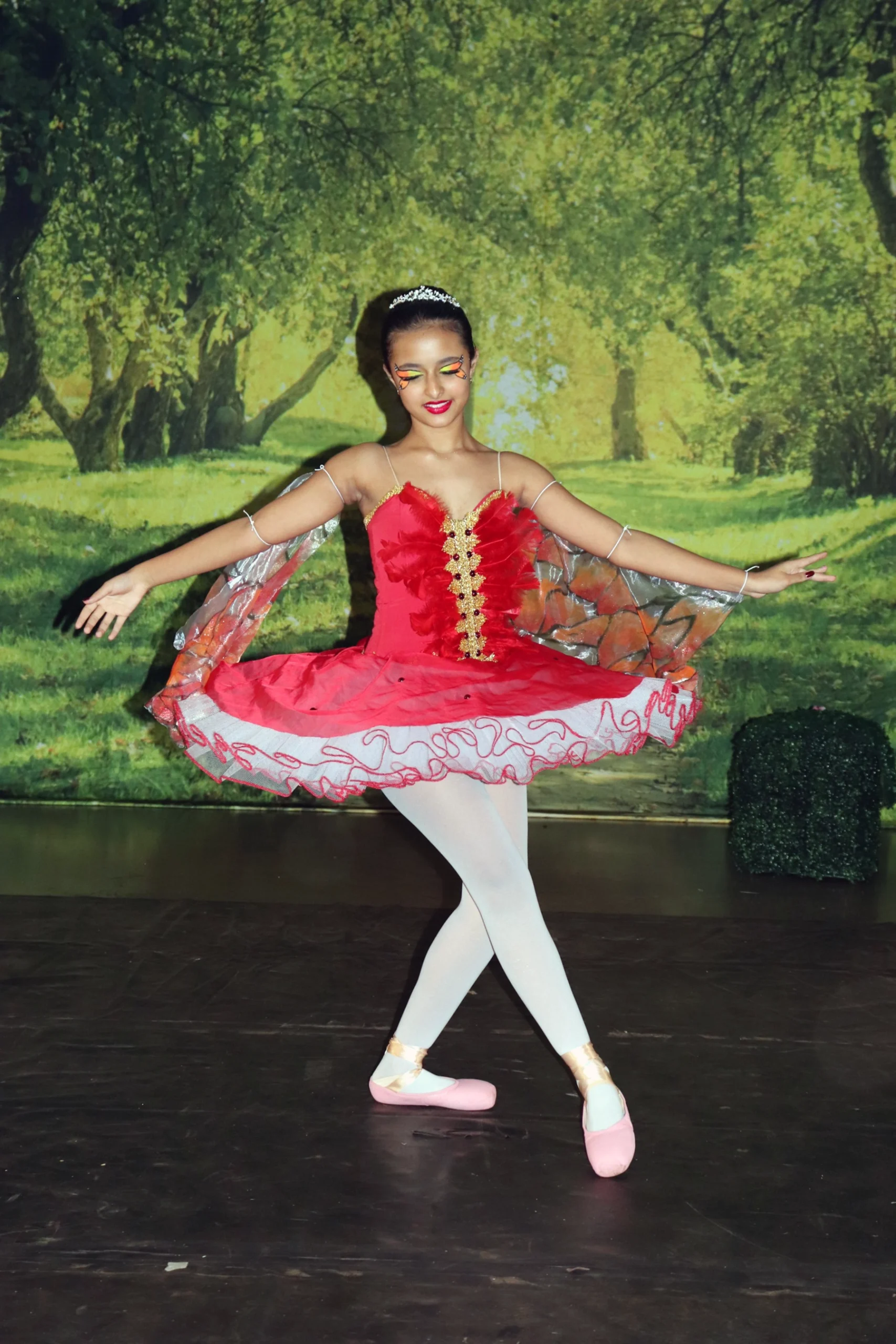 ballet-a-bela-adormecida