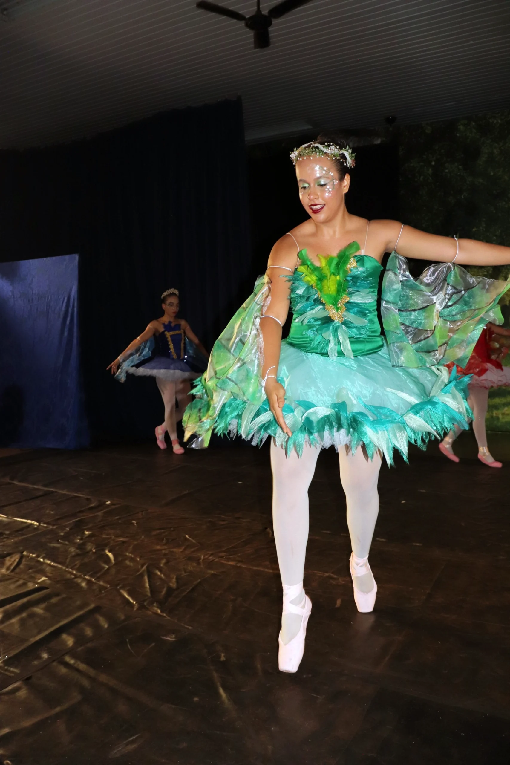 ballet-a-bela-adormecida