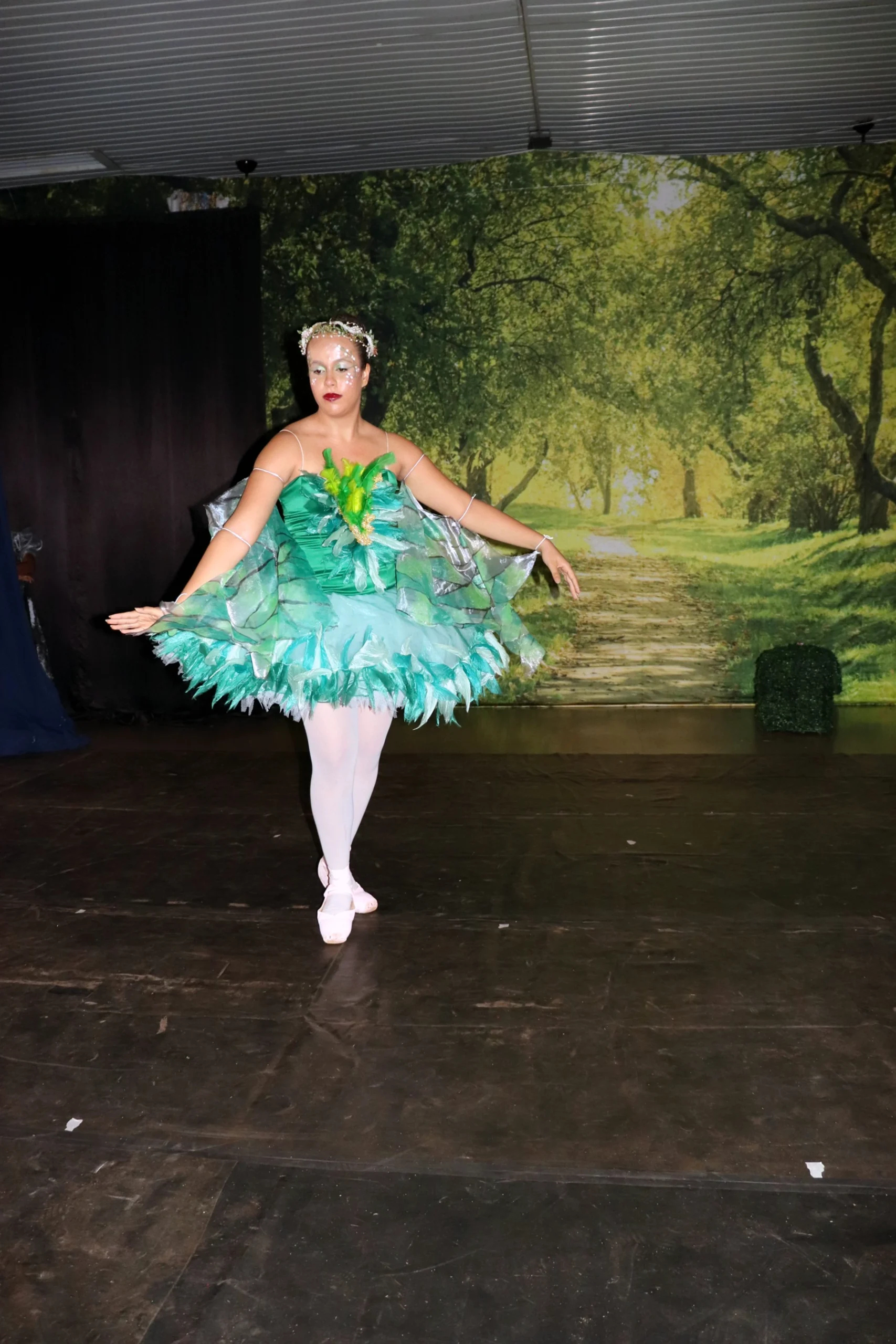 ballet-a-bela-adormecida