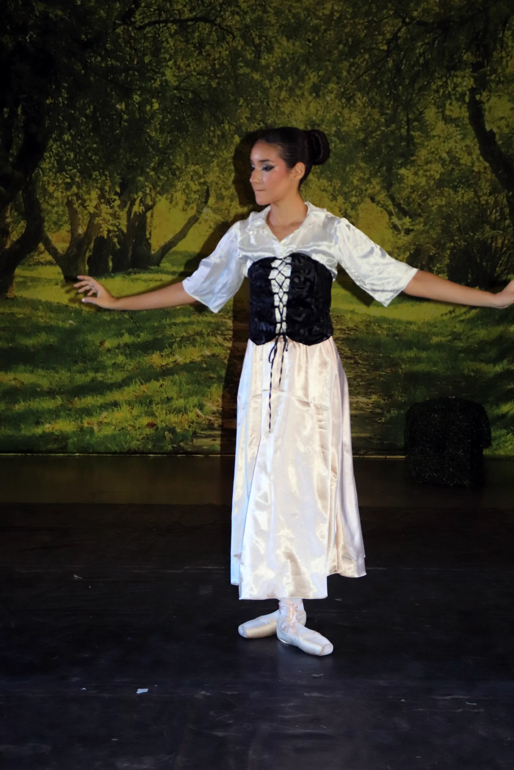 ballet-a-bela-adormecida