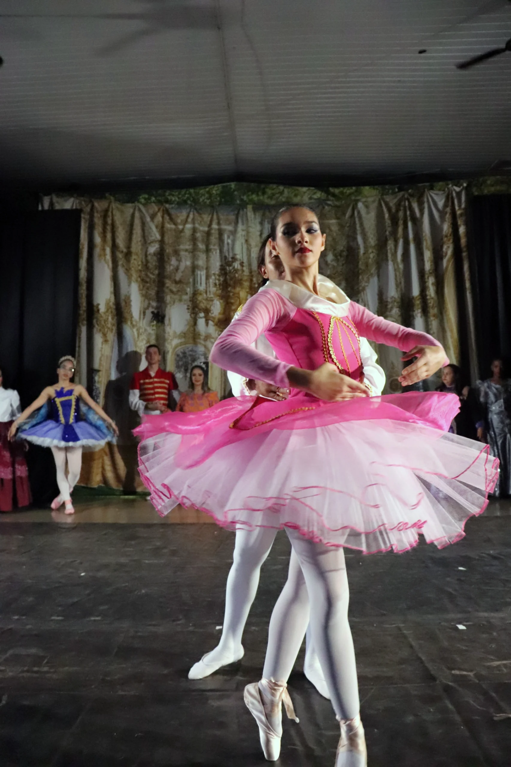 ballet-a-bela-adormecida