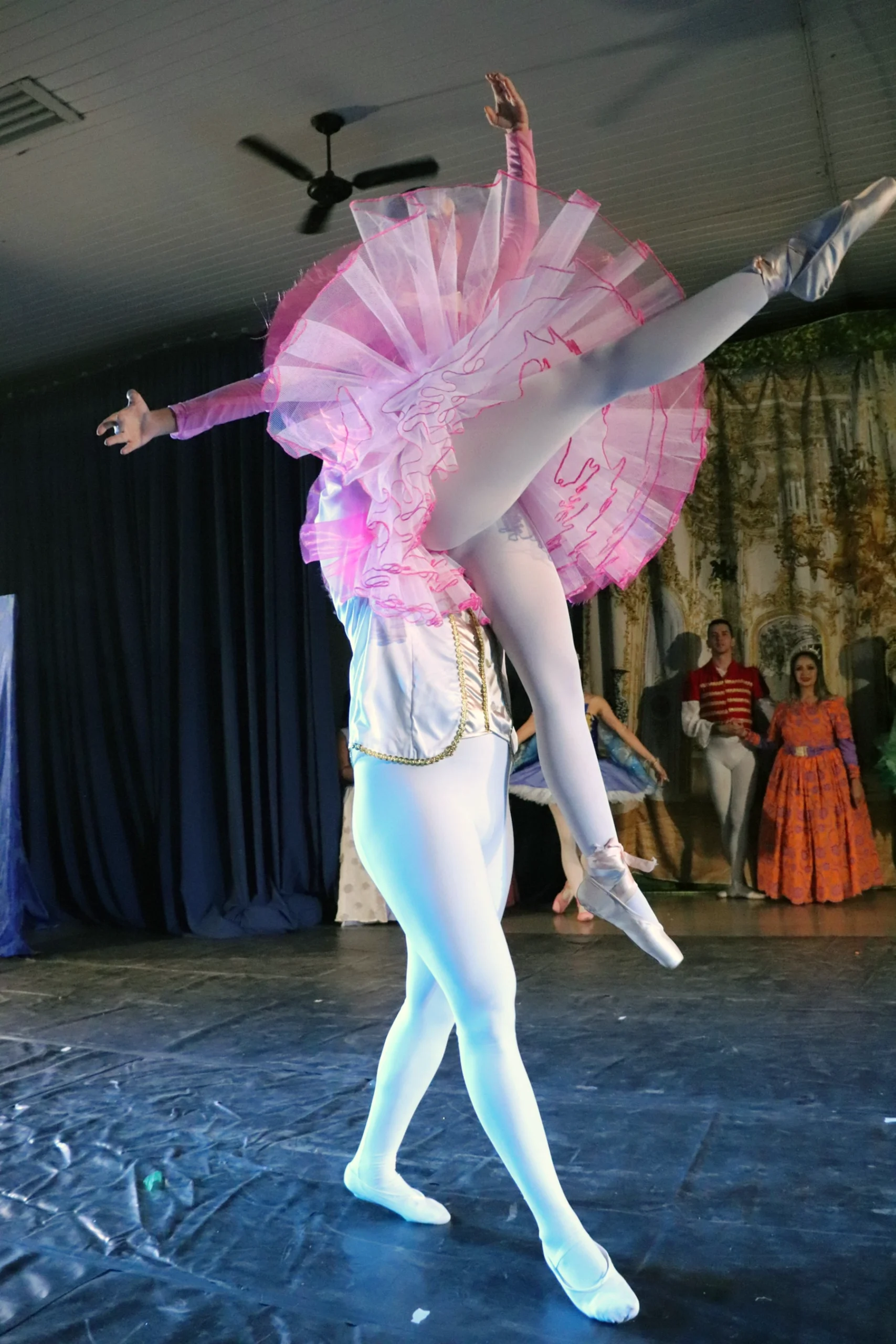 ballet-a-bela-adormecida