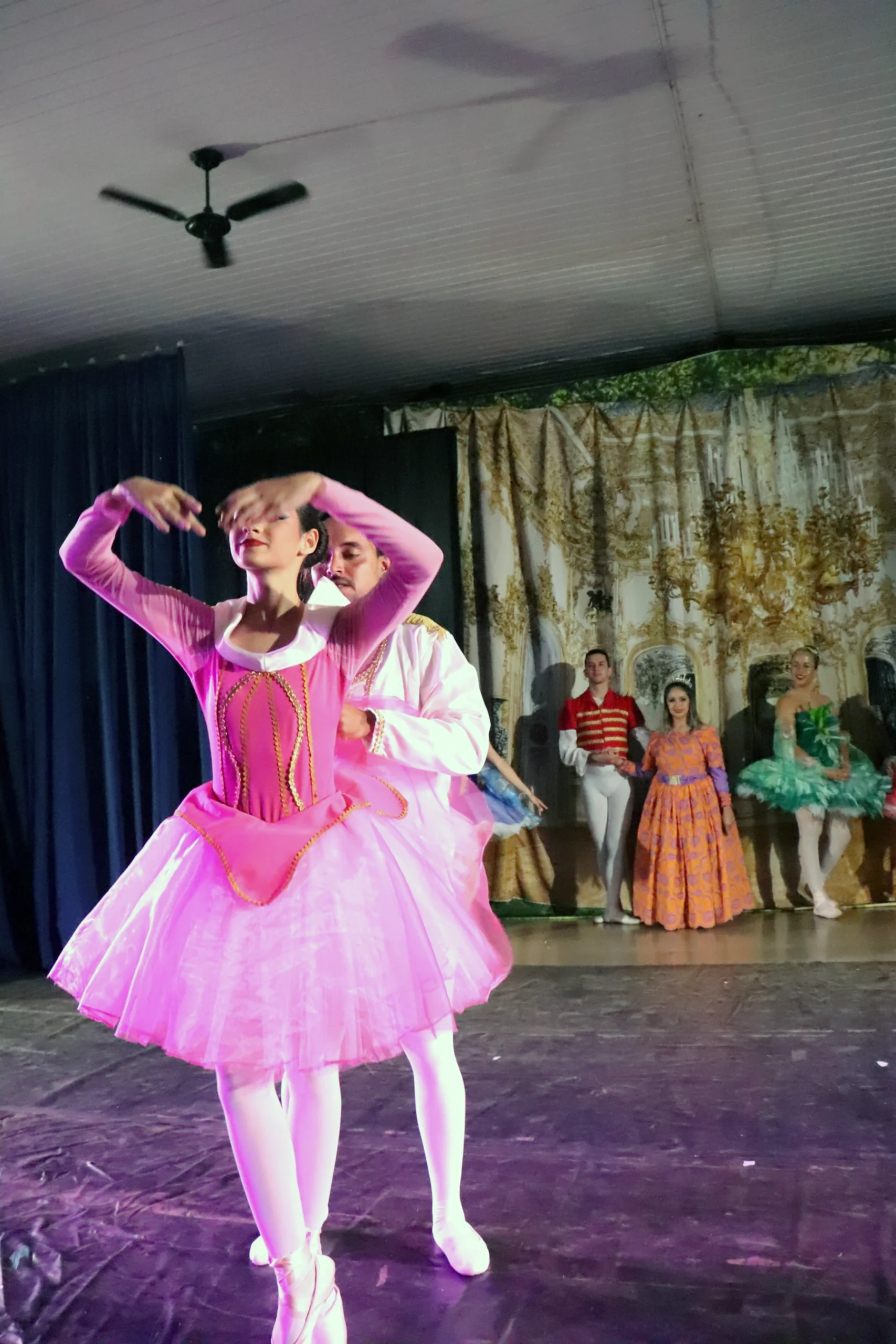 ballet-a-bela-adormecida