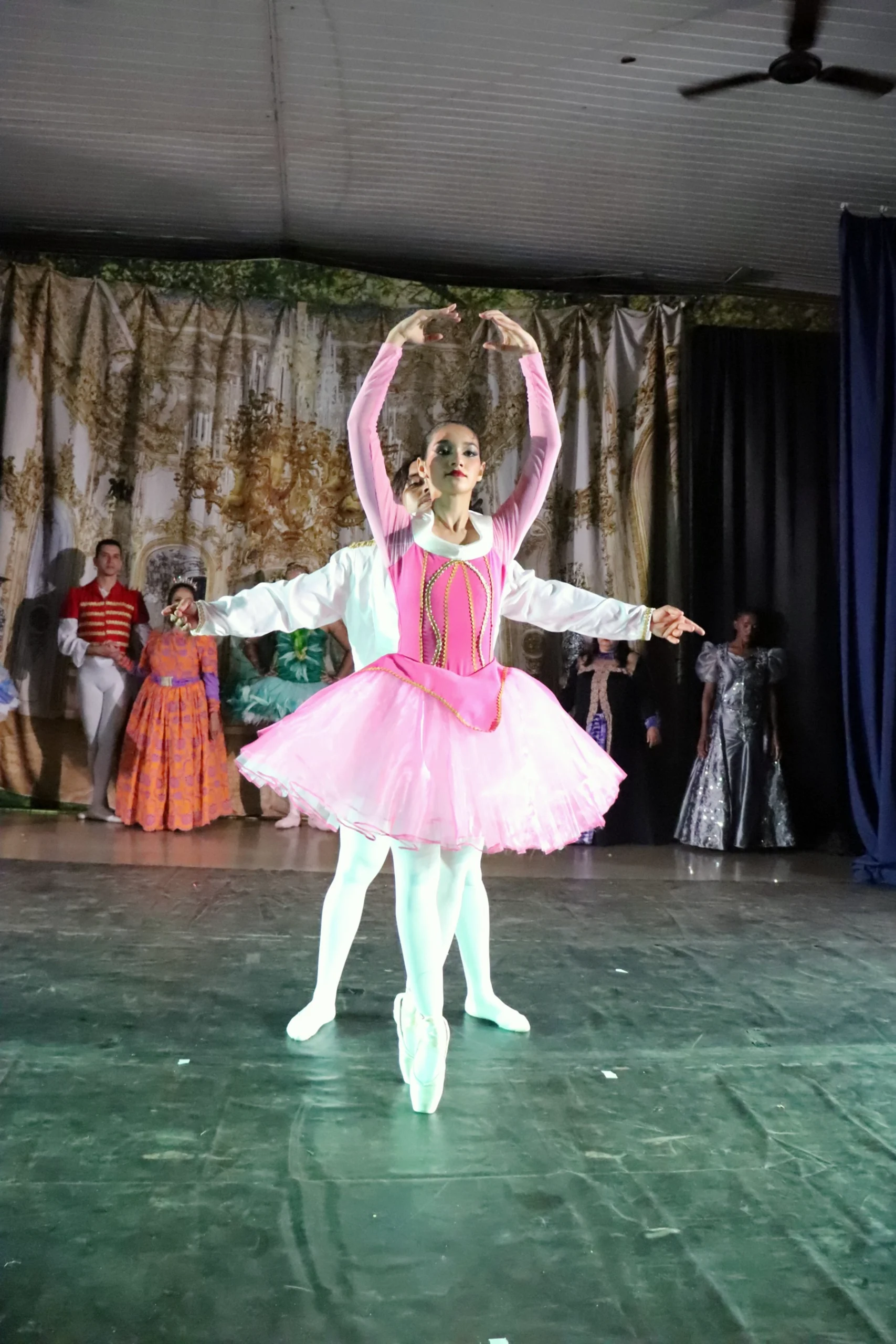 ballet-a-bela-adormecida