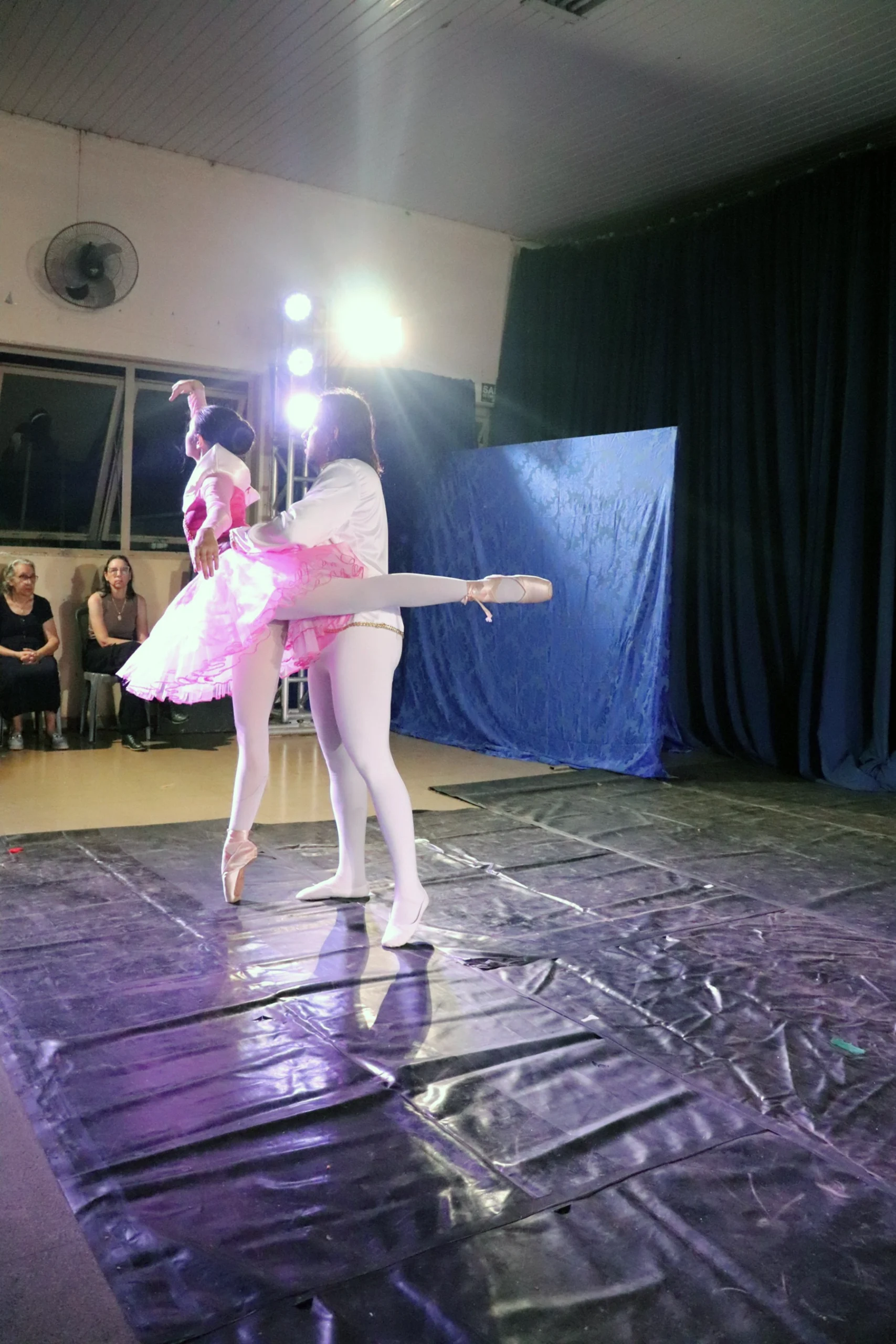 ballet-a-bela-adormecida